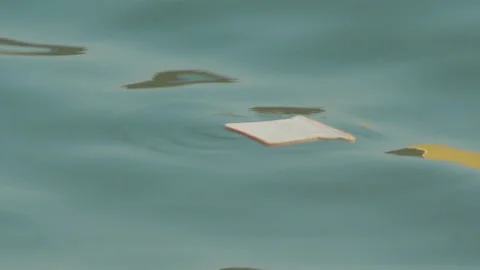 Slice of toast bread floating on sea surface Stock Footage 145268313