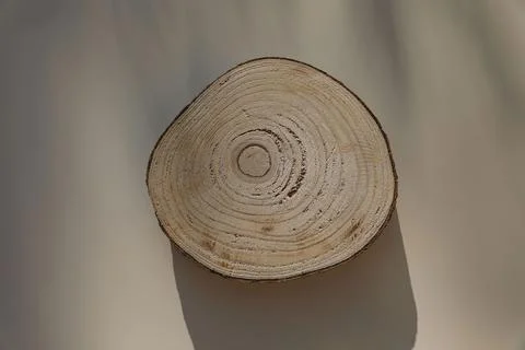 Slice tree trunk isolated on background. Wooden round cut board, chopping board Stock-Fotos