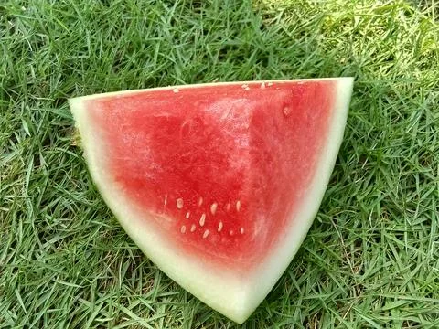 A slice watermelon on grass background. Foto stock