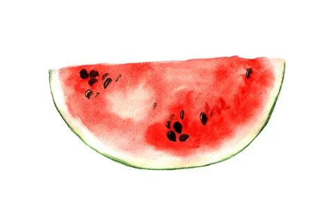 Slice of watermelon Stock Illustration