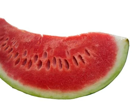 Slice of watermelon 库存照片