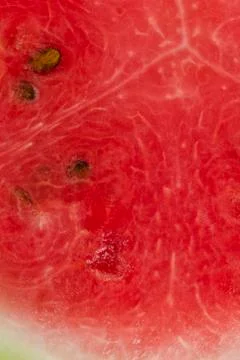 Slice of watermelon Stock Photos