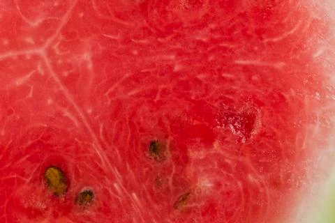 Slice of watermelon Stock Photos