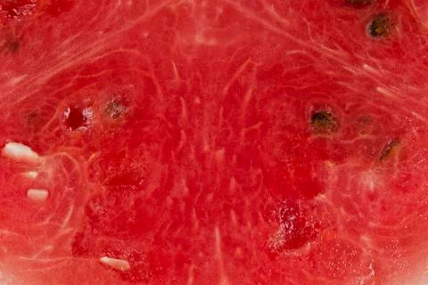 Slice of watermelon Stock Photos