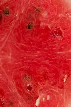 Slice of watermelon Stock Photos