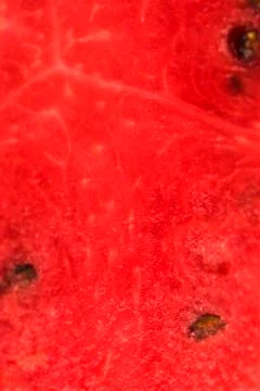 Slice of watermelon Stock Photos