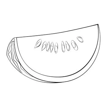 A slice of watermelon with a thin line. Vector on a white background Stock Illustration