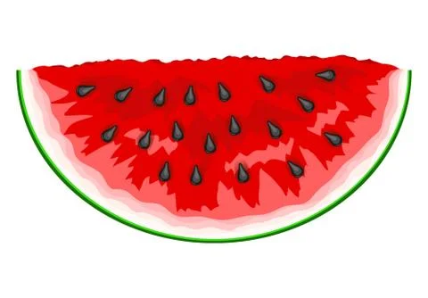 Slice of watermelon. Vector Illustration Illustrazione stock