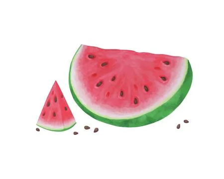 Slice of watermelon on white background, summer fruit, Vector illustration... Stock Illustration
