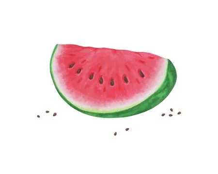 Slice of watermelon on white background, summer fruit, Vector illustration... Stock Illustration
