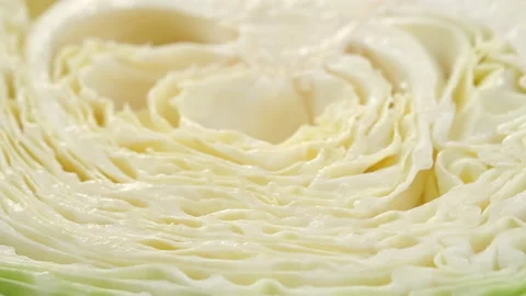Slice white cabbage close up. cut cabbage roach Stock Footage 143310269