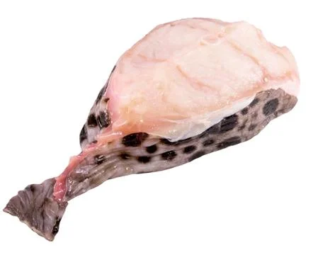 Slice of wolffish Stock Photos