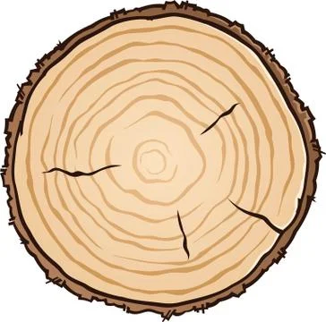 Slice of Wood with Age Rings Vector Illustration Stock Illustration