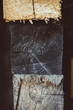 Slice of wood Stock Photos