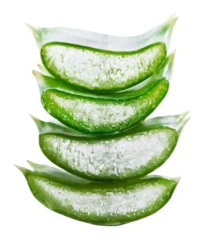 Sliced aloe Stock Photos