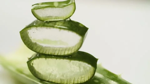 Sliced aloe vera Stock Footage 156196880