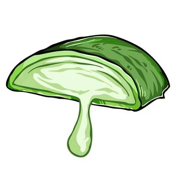 Sliced aloe vera vector art illustration. Stock Illustration