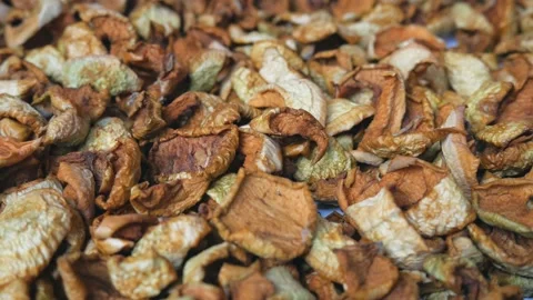 Sliced and dried apples in the process of harvesting for the winter. Stock Footage 220452541