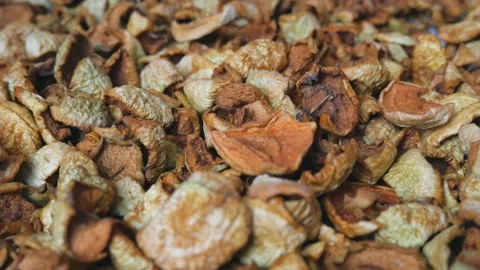 Sliced and dried apples in the process of harvesting for the winter. Stock Footage 234592827