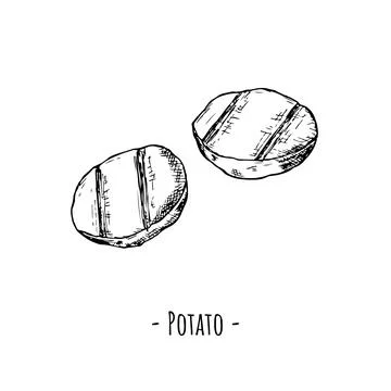 Sliced and grilled potatoes. Vector illustration. Isolated objects on white. Stock Illustration