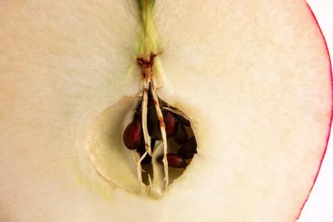 Sliced apple macro image on white background. Close up of fresh ripe fruit wi 스톡 사진