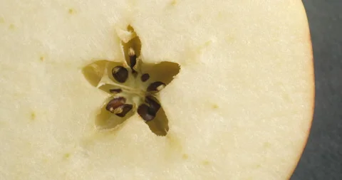 Sliced apple rotating close up Stock Footage 141697024
