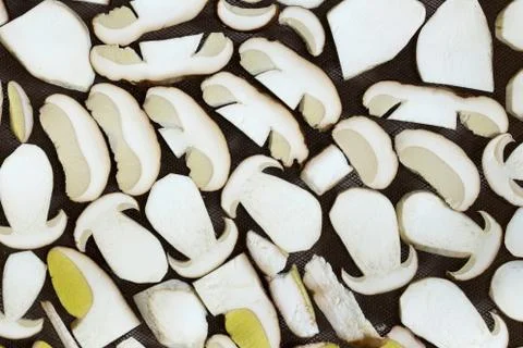 Sliced boletus edulis on the grating Stock Photos