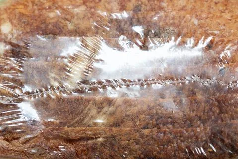 Sliced bread in clear plastic packaging. Close-up of bread slices Stock Photos