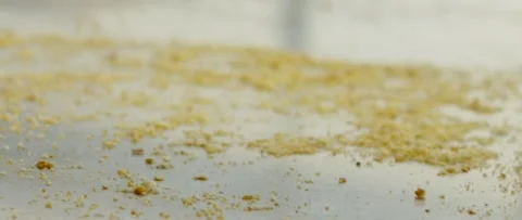 Sliced Bread Falling Stock Footage 156799879