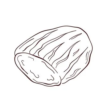 Sliced bread in line art style. Bakery product, loaf sketch. Vector illustration Illustrazione stock