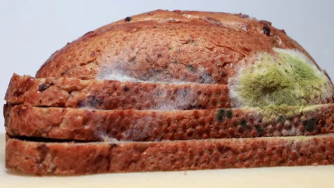 Sliced Brown Bread Covered In Green And White Mold. The Concept Of Food Spoilage Stock Footage 319209493