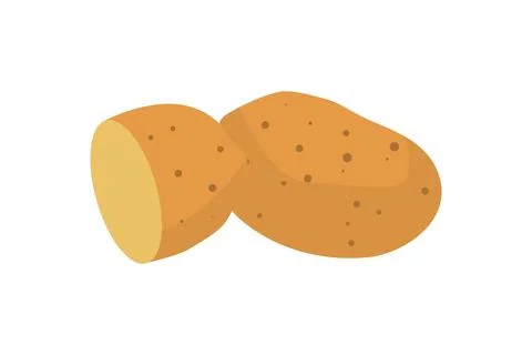 Sliced Brown Potato Tuber Flat Vector Illustration Isolated Illustration