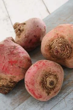 Sliced candy beetroot Stock Photos