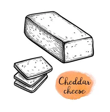 Sliced cheddar cheese. Stock Illustration