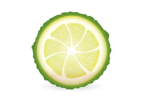 Sliced citrus Stock Illustration