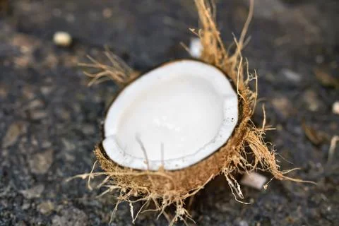 Sliced coconut on ground Foto stock