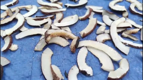 Sliced Coconut Pieces Stock Footage 333168256