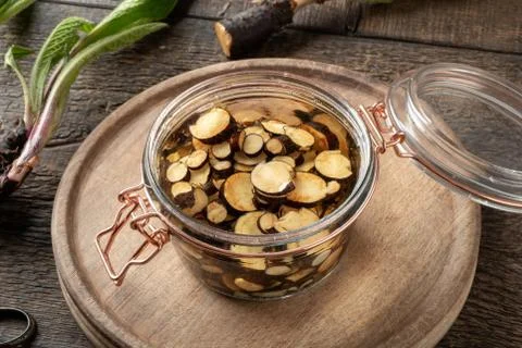Sliced comfrey root and alcohol in a glass jar - preparation of herbal tinctu Stock Photos