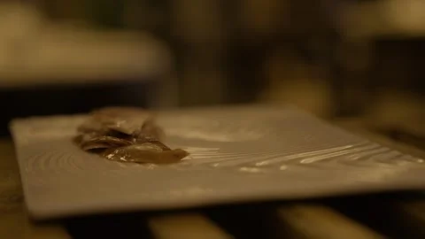Sliced Cooked Meat Served on Plate in Beijing Restaurant Kitchen, China Stock Footage 345786047