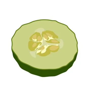 Sliced Cucumber Vector Illustration – Fresh Green Vegetable Cross Section Illustrazione stock