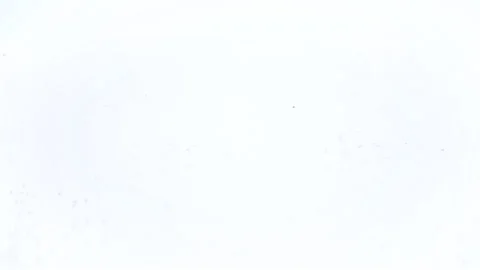 Sliced cucumbers fall into the water Stock Footage 100269675