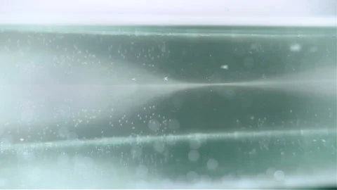 Sliced cucumbers fall into the water Stock Footage 100270040