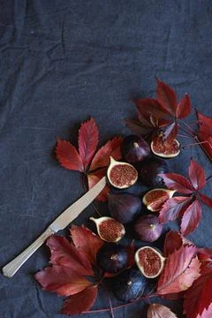 Sliced figs on a dark background. Composition decorated with red grape leaves Stock Photos