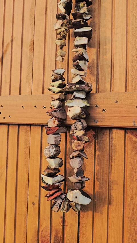 Sliced forest mushrooms hang on a thread from a wooden shutter and dry in t.. Stock-Footage 347128155