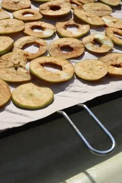 Sliced fresh apples Stock Photos