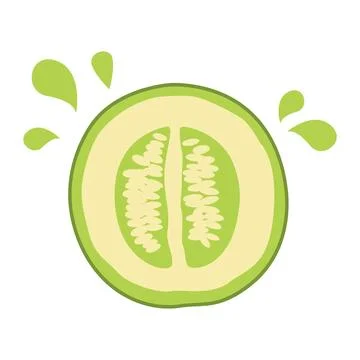Sliced Fresh Melon Fruit Healthy Nutrition Vector Illustration Stock Illustration
