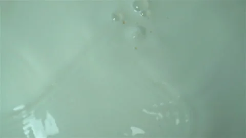 Sliced kiwi fall in slow motion into milk. Stock Footage 121245640