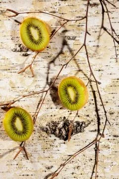 Sliced kiwi fruit on branches Stock Photos