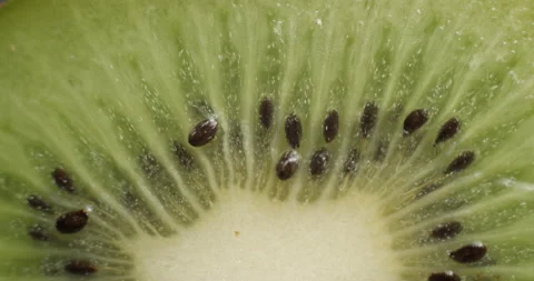 Sliced kiwi rotating close up Stock Footage 141697006