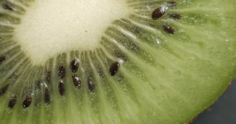 Sliced kiwi rotating close up Stock-Footage 141697010